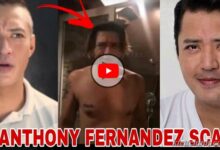 Mark Anthony Fernandez Twitter Video Scandal